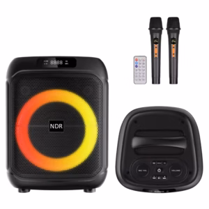 NDR-1745 RGB Portable Bluetooth Speaker With Dual Wireless Microphone